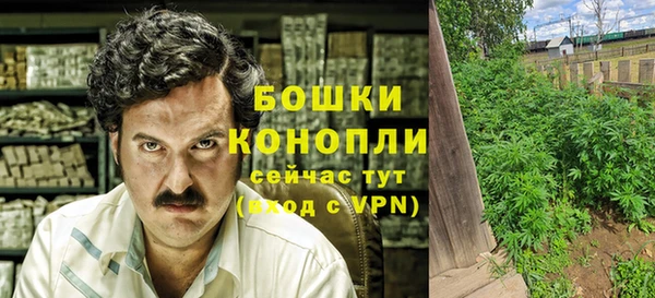ГАЛЛЮЦИНОГЕННЫЕ ГРИБЫ Балахна