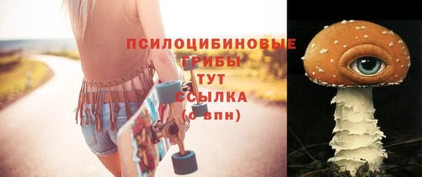 бутират Баксан