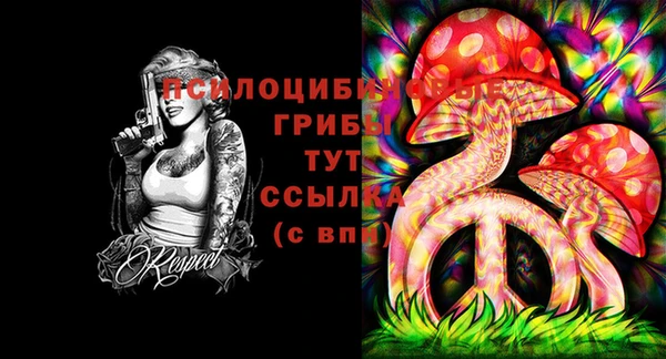 ГАЛЛЮЦИНОГЕННЫЕ ГРИБЫ Балахна