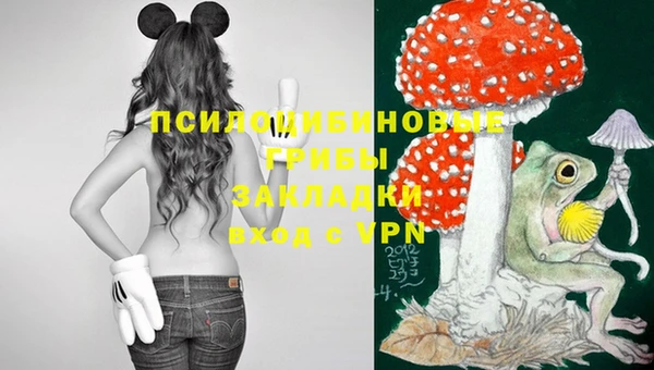 бутират Баксан
